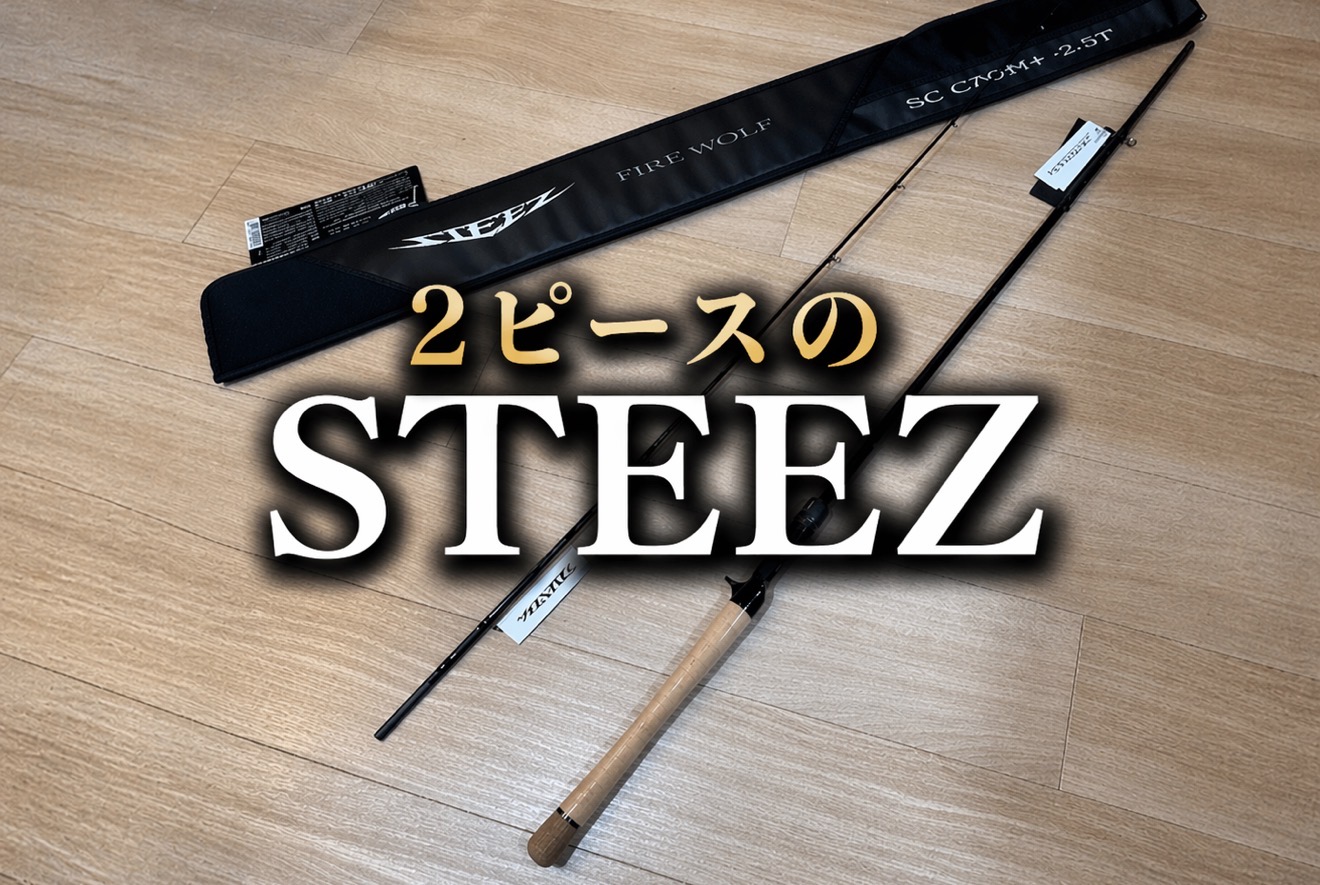 2ピースのSTEEZ・5g~1oz対応が嬉しいダイワ 25スティーズ SC C69M+ -2
