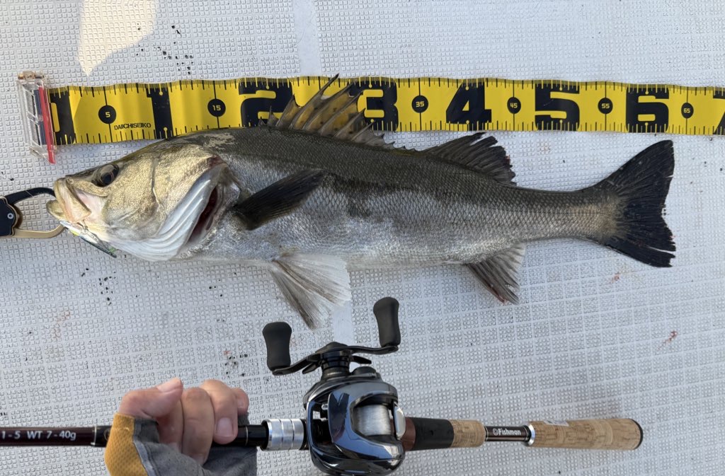 2024】Fishman B.C.4 5.10LH4年使用インプレ。バス釣り〜ライトゲーム